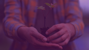 recrutamento sustentável - pessoa segurando planta